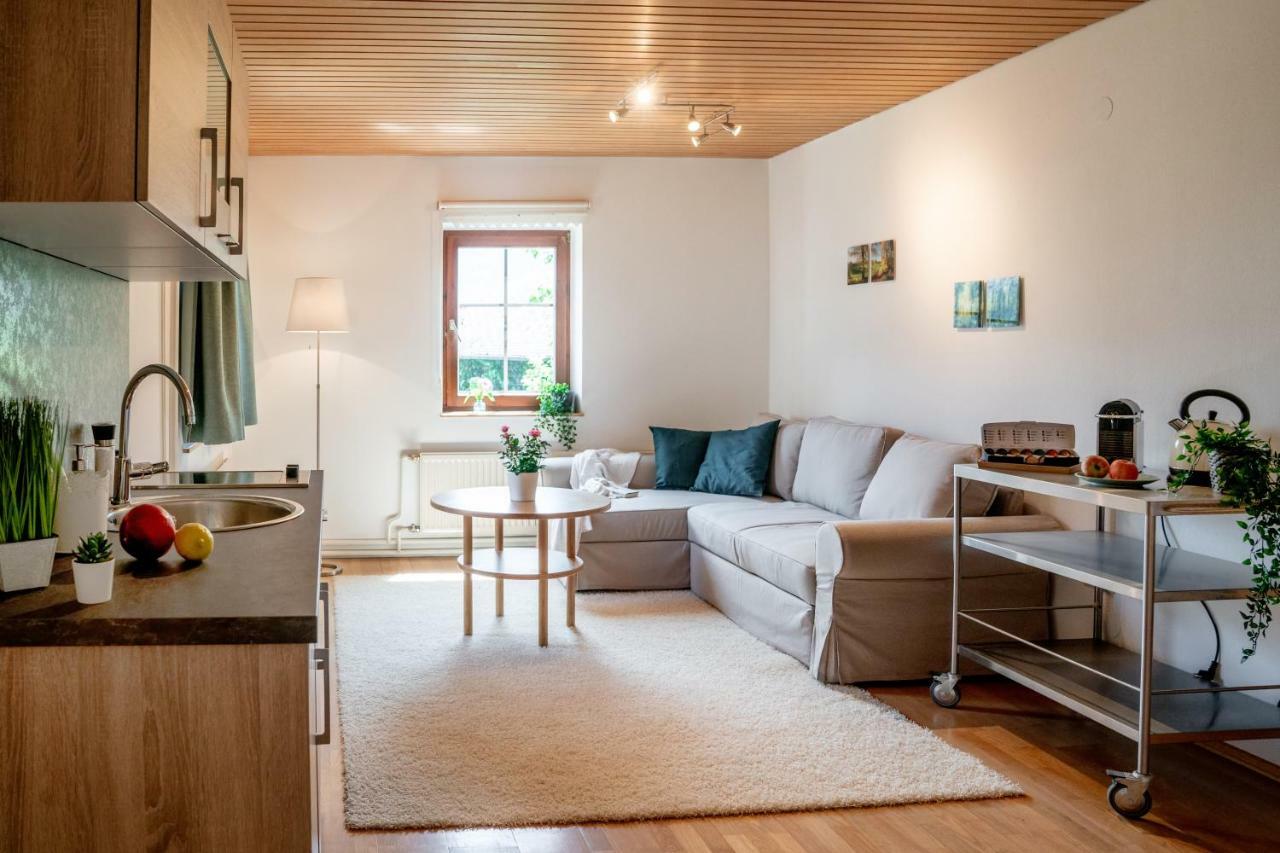 Lakeview Apartment Hallstatt Ngoại thất bức ảnh